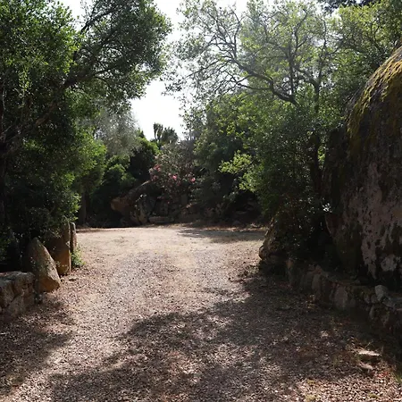 Dağ evi En Corse Du Sud *