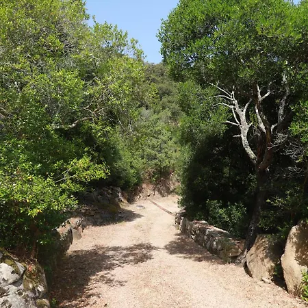 Dağ evi En Corse Du Sud